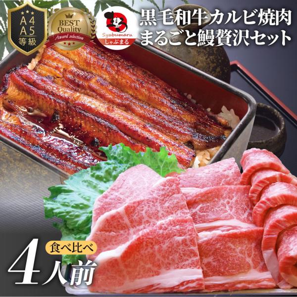 黒毛和牛 ＆ まるごと鰻 セット 4人前 焼肉のタレ 凍眠 テクニカン 肉 お中元 ギフト 食品 プレゼント うなぎ 黒毛和牛 カルビ 焼肉 A4 A5等級