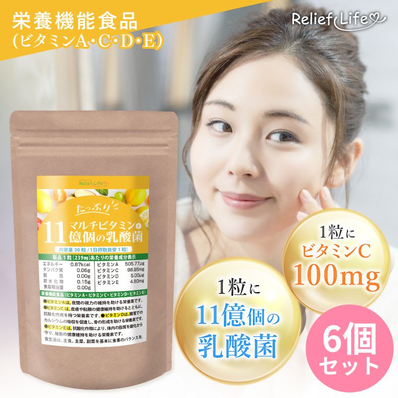たっぷりマルチビタミン+11億個の乳酸菌 6個セット 酸菌 亜鉛 酵母 ビフィズス菌 植物発酵エキス 酵素 葉酸 ビタミン K2 C B12 A B1 B2 B6 D3 C 8,640円