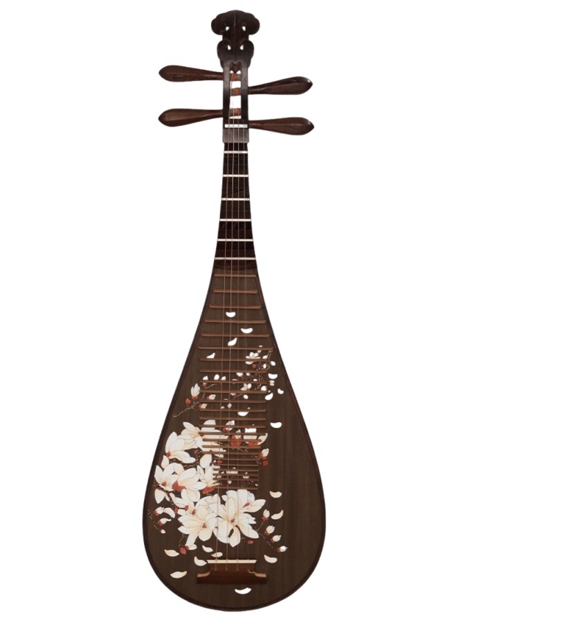 琵琶 手羽先の木 モクレン模様 プロの演奏 中国弦楽器