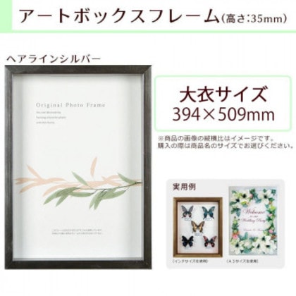A.P.J. BOXフレーム アートボックスフレーム(高さ:35mm) 大衣サイズ(394×509mm) ヘアラインシルバー 1000015199