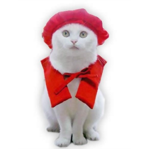 キャットプリン ビバ還暦だにゃん 1枚 猫の服 猫服 キャットウエア 猫用 付け襟 ネックカラー 帽子 ネコ ねこ かわいい おしゃれ お祝い 記念日 コスプレ 変装 散歩