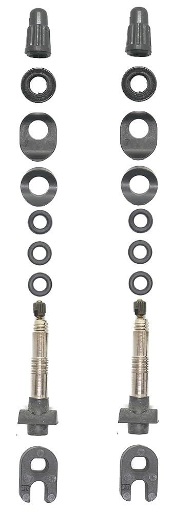 2個セット MAVIC(マヴィック) UST チューブレスバルブ tubeless (80mm) [並行輸入品]