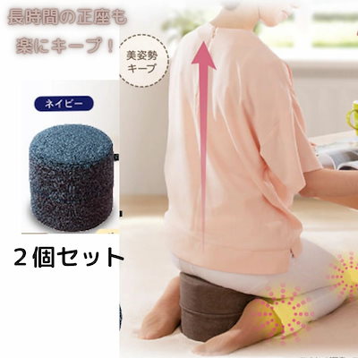 【新品】NOYES ネイビー クッション 2個セット Amazon.co.jp: カインズ(CAINZ) 三角 クッション ミニ ネイビー