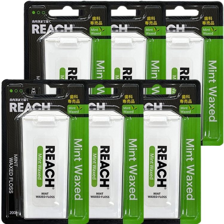 6個セット 松風 リーチ デンタルフロス ワックス ミント 200yd (182.8m) オーラルケア