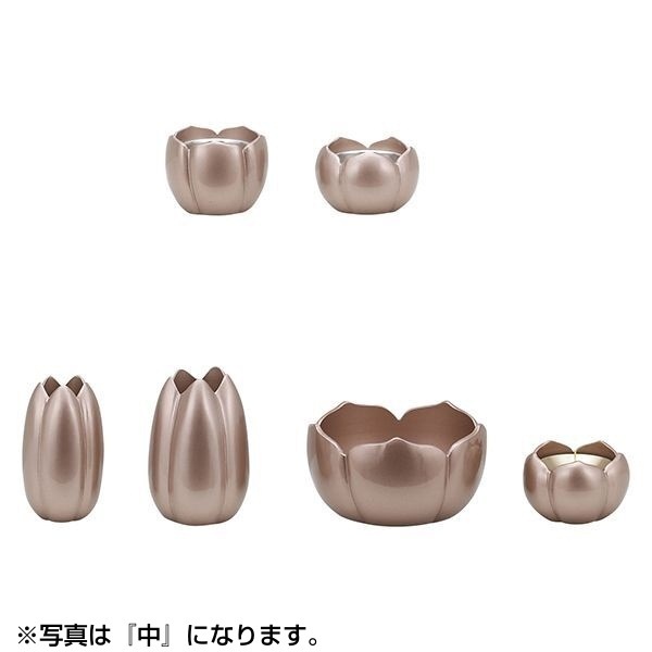 ALTE MEISTER ももか 6点セット 大 浅紫