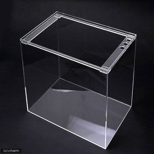 水槽　アクリル水槽　ラクシス　Ｎｏ．３３　（４５０X３００X４５０ｍｍ）　４５ｃｍ水槽　ＣＲＣ10―11―04―30―00