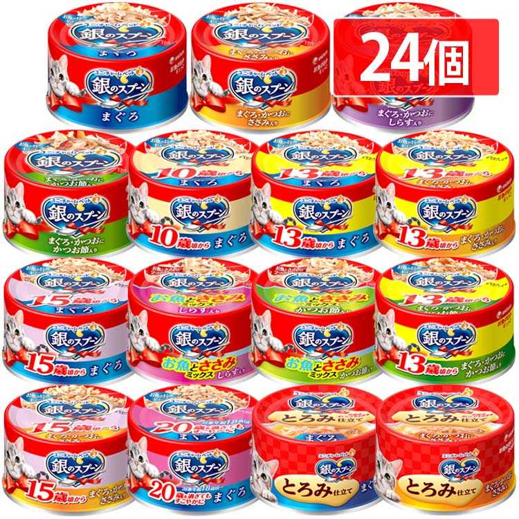 【目玉商品】【24個セット】 ペットフード 猫 キャットフード 銀のスプーン 缶 70g