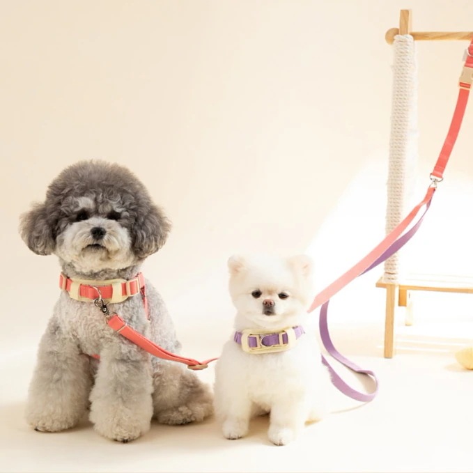 犬 リード リード ハーネス ２匹 韓国産 長さ調整可能 斜めがけ ショルダーリード 14カラー 散歩グッズ