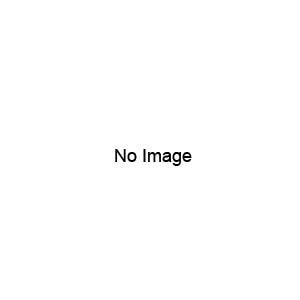 セイコーアイ・インフォテック トナーカートリッジ 450g/個 LP761 1箱(2個)