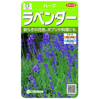 他サイト： サカタのタネ　実咲 ハーブ ラベンダー　928086の商品画像