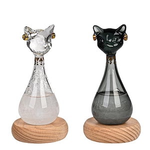 置物 ストームグラス プレゼント 天気予報ボトル ねこ ガラス 気象計 オブジェ 結晶 猫インテリア