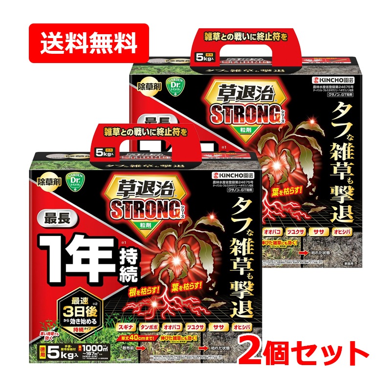 【2個セット】【KINCHO園芸】草退治ストロング 粒剤 5kg×2セット　雑草 除草剤 無臭タイプ ストロングシリーズ 粒タイプ クサノンGT粒剤