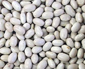 白いんげん豆 大手亡 5kg 国内産 北海道ほか 5,457円