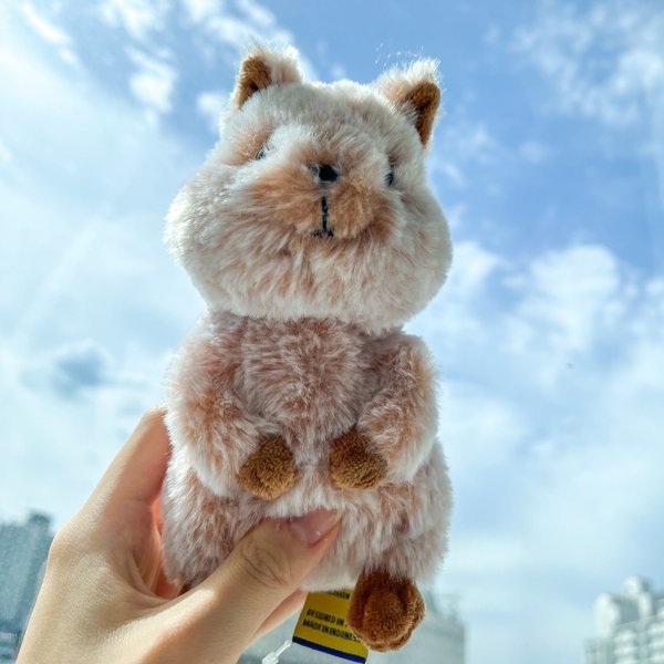 サンレモン 幸せなクォカぬいぐるみ サンレモン SUNLEMON ぬいぐるみ 赤ちゃん フラッピー タッポン かわいい キャラクター 愛着