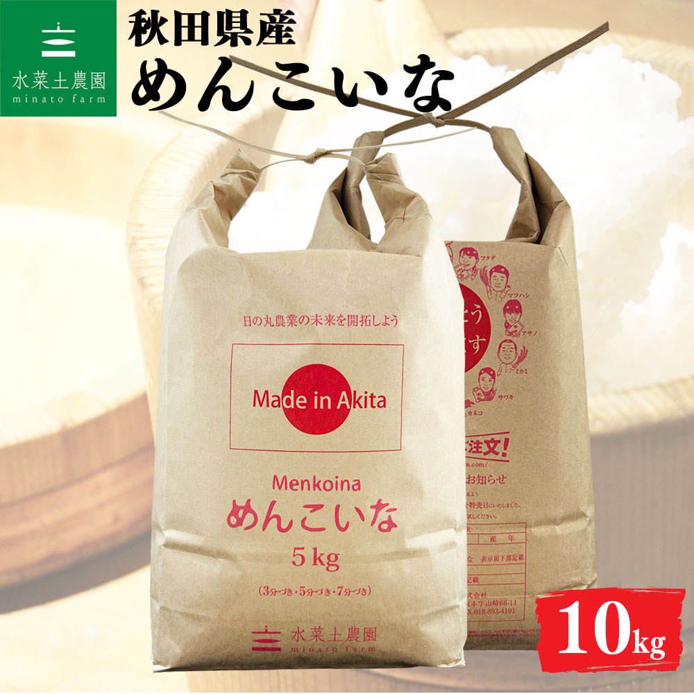 めんこいな 精米 10kg 秋田県産 令和7年産 選べるお試し袋付き