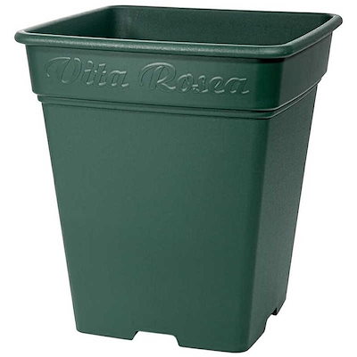 他サイト： アップルウェアー　ロゼアスクエア 390型 グリーン　ﾛｾﾞｱｽｸｴｱ390ｶﾞﾀの商品画像