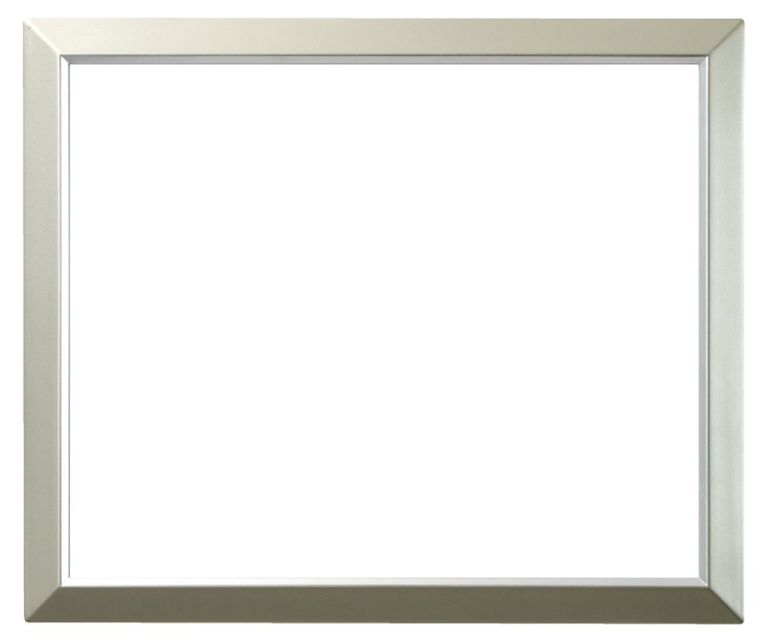 ラーソン・ジュール・ニッポン 額縁 D350 銀 水彩F10 アクリル D350276