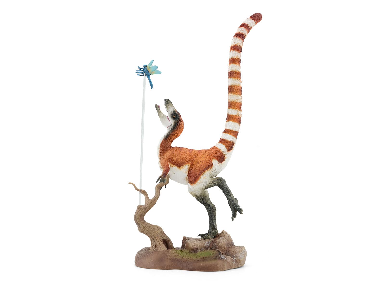 TNG シノサウロプテリクス 小型の羽毛恐竜 恐竜 フィギュア コンプソグナトゥス科 26CM級 白亜紀 PVC製 模型 プラモデル おもちゃ 自立 展示 模型 玩具 プレゼント 置物 4,731円