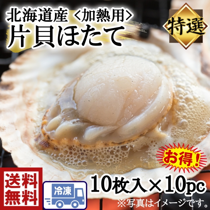 限定価格セール！ 帆立 10枚 を10P ハーフシェル 片貝 北海道産 生鮮・貝類 - flaviogimenis.com.br