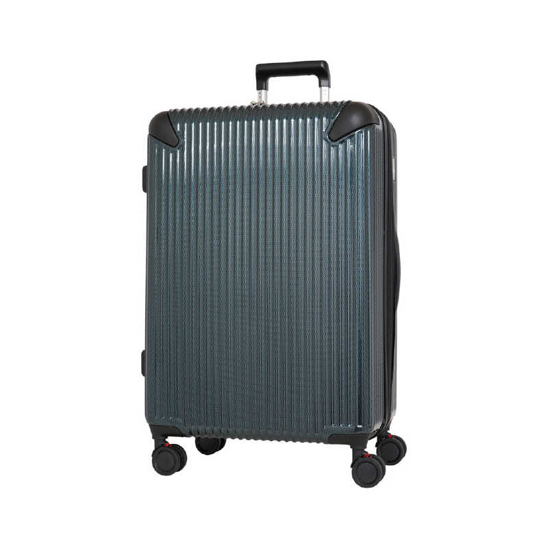 SPALDING　スポルディング サスペンション キャリーケース グリーンカーボン (TSAロック搭載)　SP083664GNC