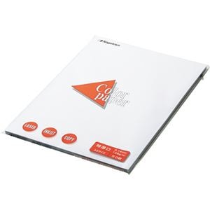 （まとめ） 長門屋商店 Color Paper A4 特厚口 白 ナ-3401V 1冊（100枚） (×5セット)