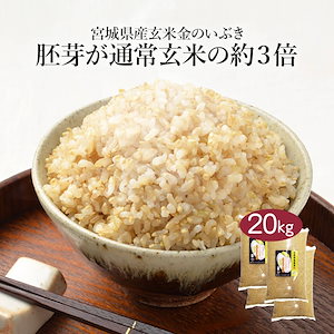 玄米 宮城県産 金のいぶき 20kg 5kg 4セット 令和5年度産 米 お米 こめ 20キロ 安い おこめ 国産 食品 栄養 健康 ギフト 引っ越し 内祝い お歳暮 送料無料 おくさま印