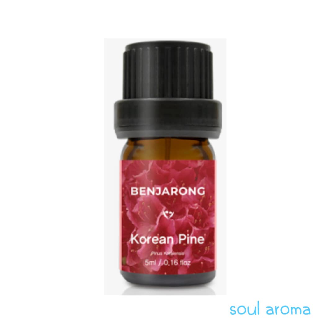 コリアパイン（松の木）5ml