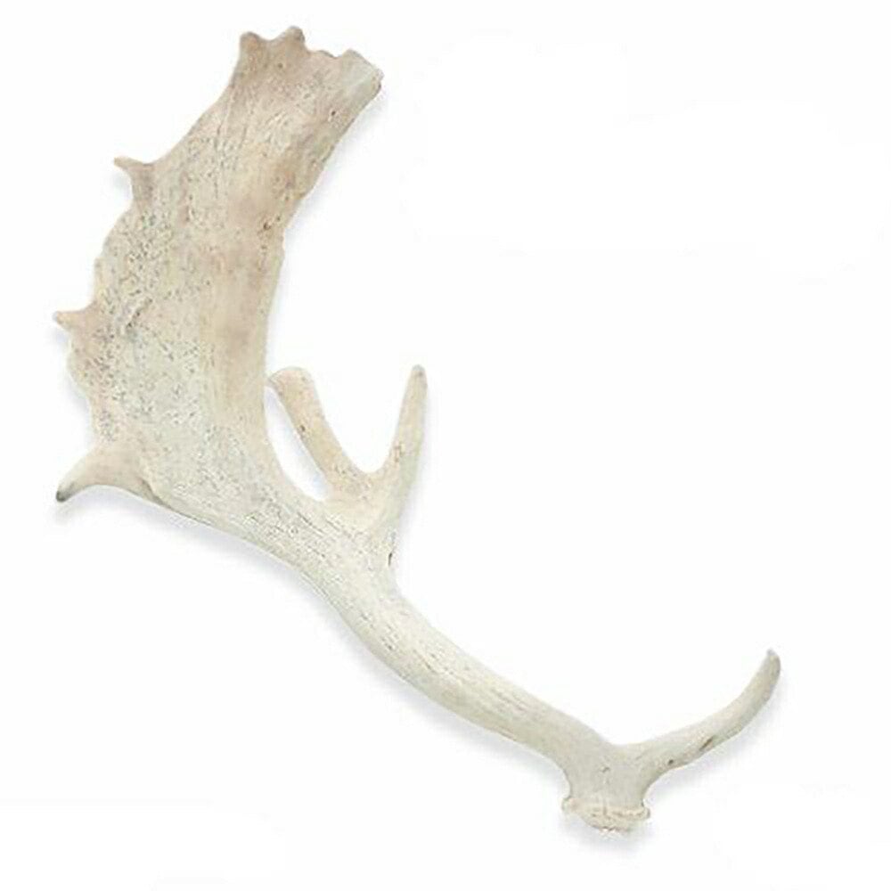 国産　ヘラジカの角　オブジェ　１本　インテリア　ＣＲＣ50―97―00―00―00