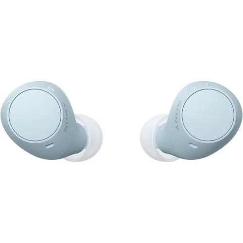 ソニー ワイヤレス イヤホン 左右分離 IPX4 最大22時間 USB-C WF-C510 WFC510 LZ ブルー系