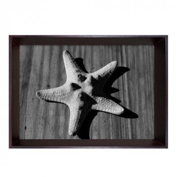 Photography art Star fish アートパネル IBC-53404