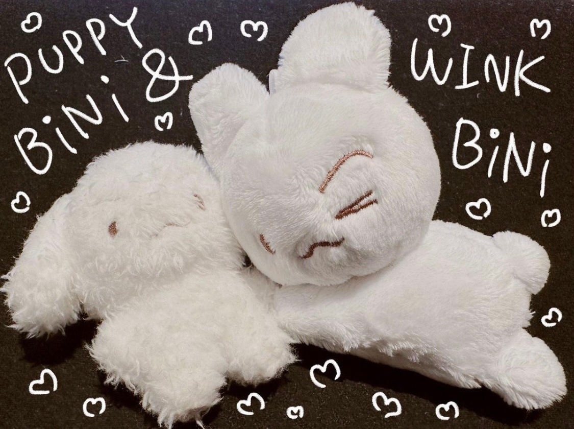 TXT　　スビン ペンカフェ　マスターニム　ウインクビニ ぬいぐるみ　 1０ｃｍ 최수빈 崔秀彬 Choi Soobin