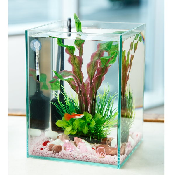 Qoo10] （熱帯魚）飼育セット グッピーセット ｇ