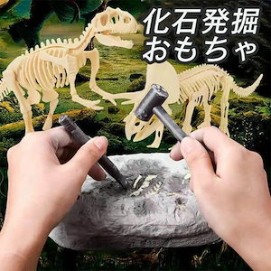 知育玩具 おもちゃ 恐竜発掘キット 恐竜おもちゃ 恐竜 骨格標本 骨格組立 骨 子供 おもちゃ