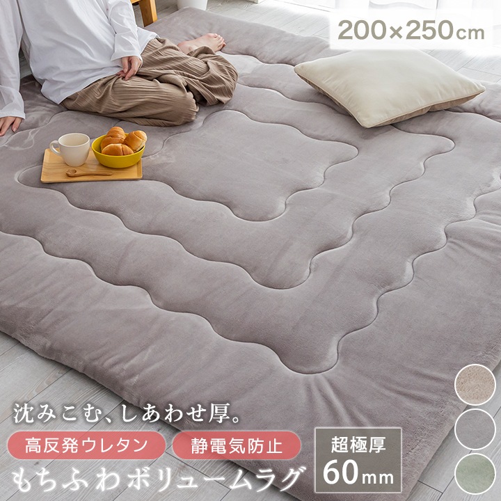 ラグ ボリュームラグ 厚手 60mm 高反発 ふわとろ もっちり 極厚 200×250 長方形 防ダニ 3畳 滑り止め付 防音 静電防止 秋 冬