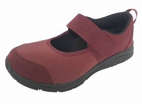 すたこらさんソフト晴77 ワイン 23.0