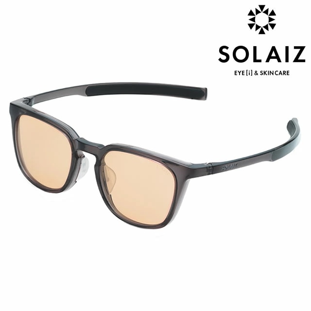 ソライズ SOLAIZ サングラス ウエリントン [SLD-005] Daily Use Collection メンズレディース 眼鏡 メガネ アイケア エイジングケア CHARCOAL/L.BR