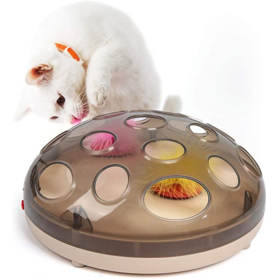 売れ筋新商品 猫のおもちゃ猫のおもちゃ猫のおもちゃ猫用品電気のおもちゃ猫の電気のおもちゃ猫猫のおもちゃ羽 おもちゃ