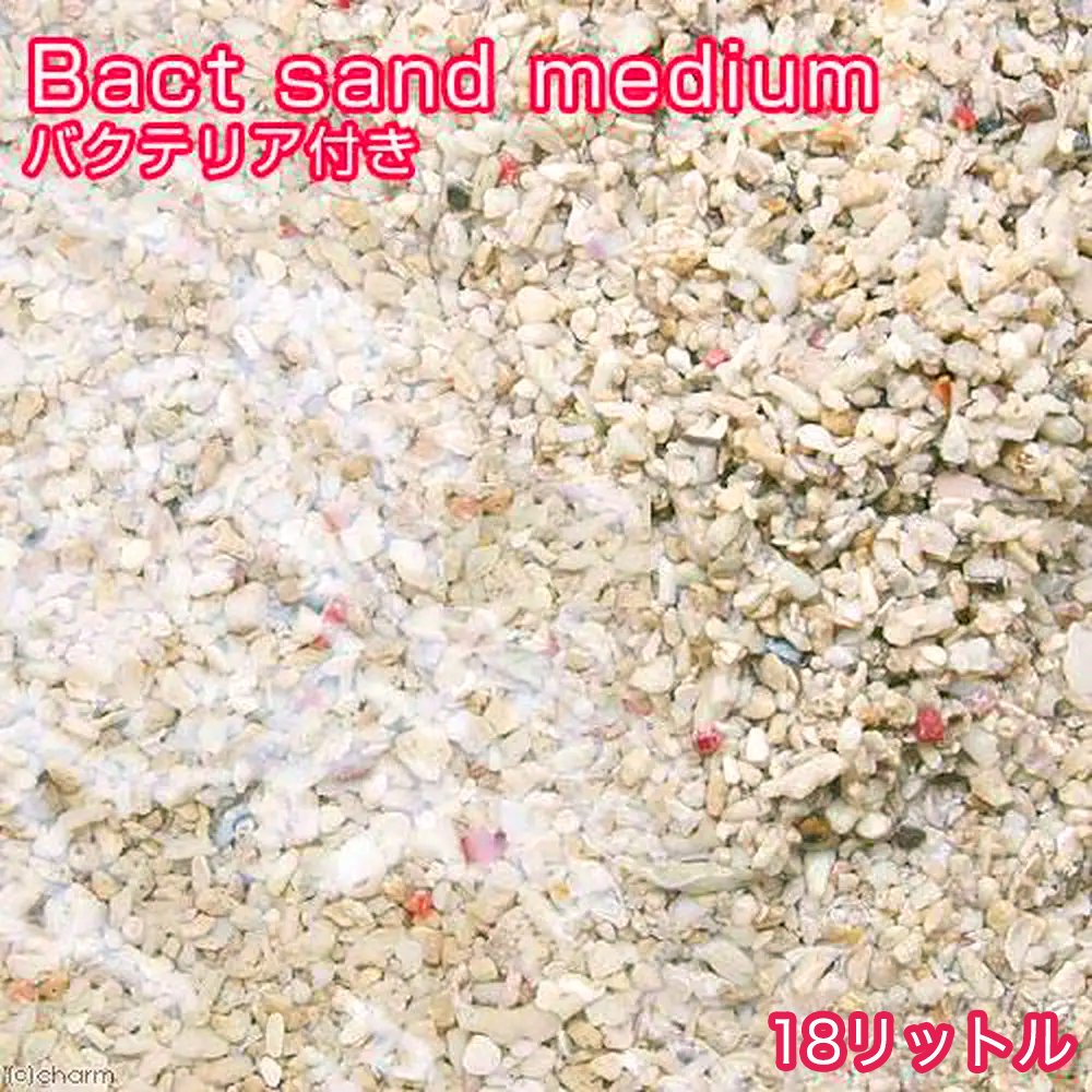 （海水魚）ばくとサンド（立上げ簡単サンド）ミディアム　１８リットル　バクテリア付き　ライブサンド　航空便不可　沖縄不可　ＣＲＣ26―65―10―10―30