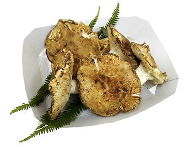 トルコ/モロッコ産 松茸 訳あり 約200g 開き 大きさお...のサムネイル