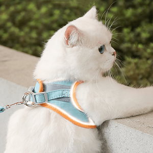 ハーネス リード 猫 牽引縄 ペット リードハーネス セット シンプル 猫用ハーネス 簡単装着