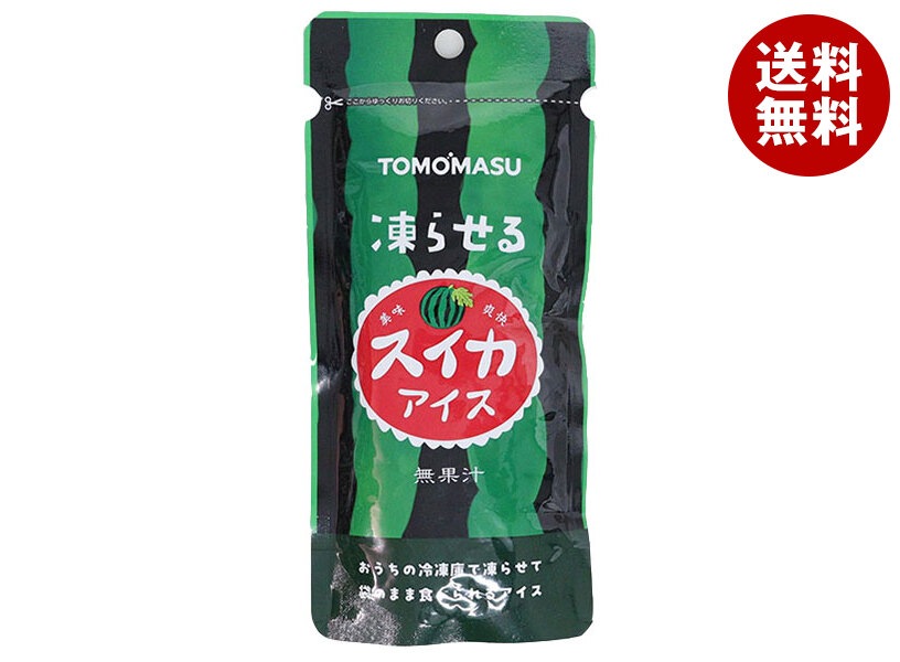 友桝飲料 スイカアイス 80gパウチ＊36(12＊3)本入