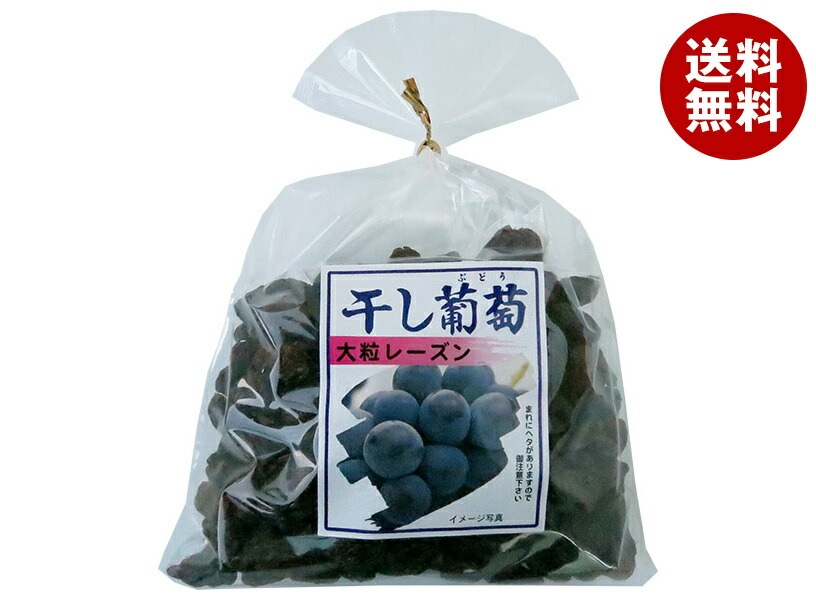 ナガトク 干し葡萄 大粒レーズン 370g＊5袋入＊(2ケース)