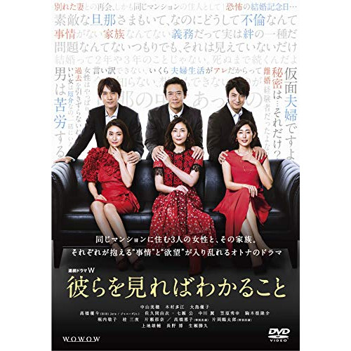 連続ドラマW 彼らを見ればわかること DVD-BOX ／ 中山美穂 (DVD) TCED-5246