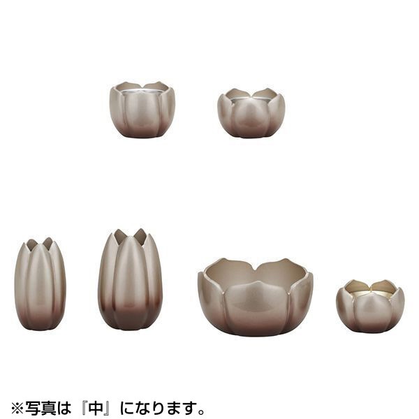 ALTE MEISTER ももか 6点セット 大 銀茶