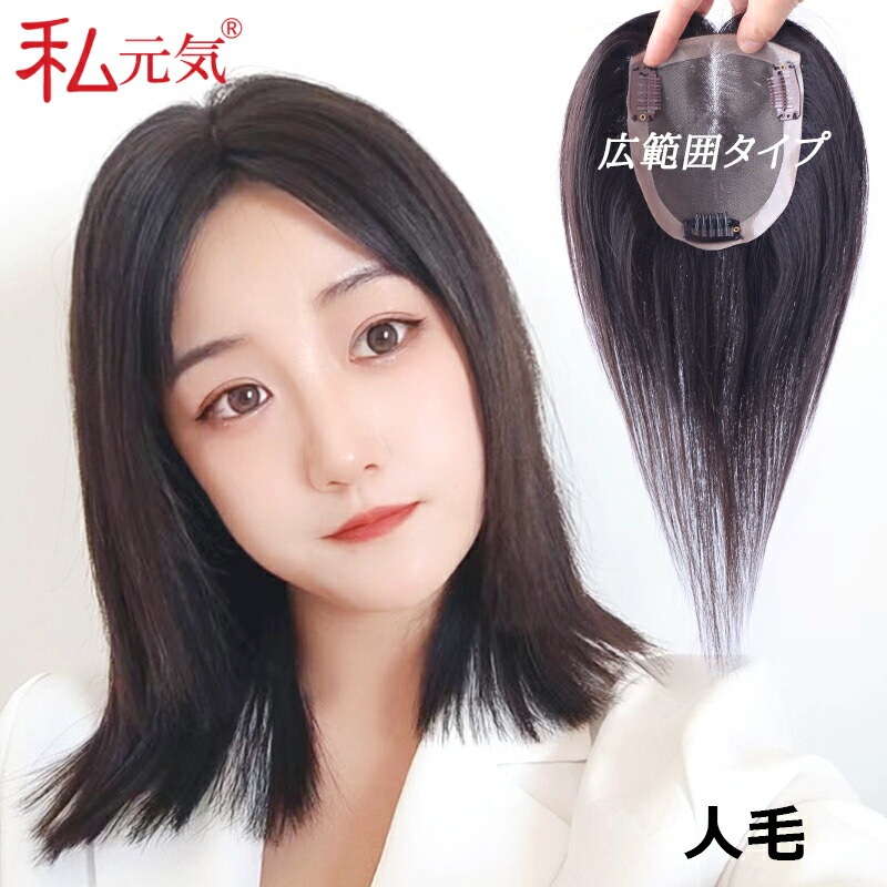 人毛 広範囲カバー 総手植え 部分ウィッグ【25cm】部分ウィッグ 人毛 ウィッグ かつら ポイントウィッグ 白髪かくし つけ毛 BHA1012-25