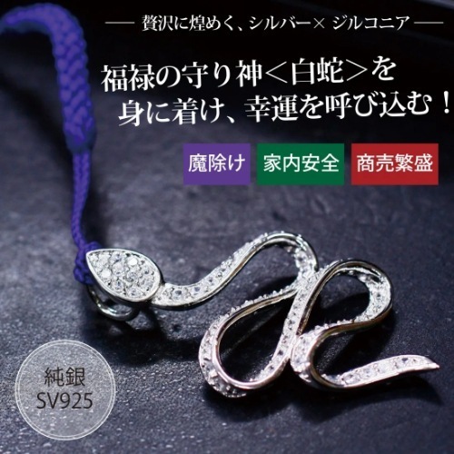 福禄白蛇 根付け付き 福禄の守り神 白蛇 身に着け 幸運 呼び込む 純銀SV925 魔除け 家内安全 商売繁盛 贅沢に煌めく シルバー Eclea 爆売 爆買