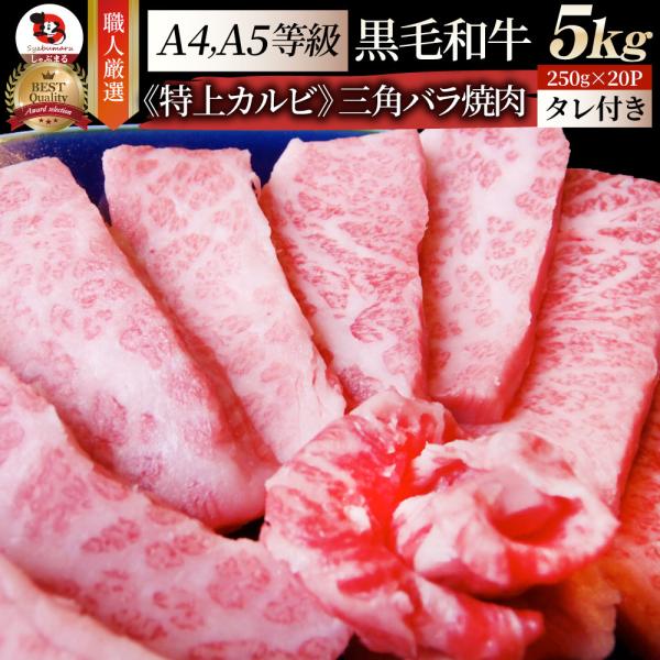 牛肉 肉 三角バラ カルビ焼肉 5kg (250g×20) 今だけ焼肉のタレ付き 凍眠 テクニカン 黒毛和牛 A4,5等級 とろける お歳暮 クリスマス ギフト 食品 プレゼント