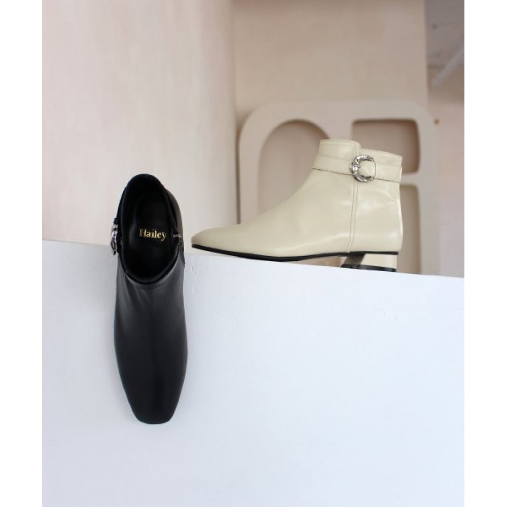 ヘイリー HJ20081_2カラー