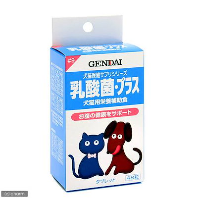 他サイト： 現代製薬 乳酸菌プラス 48粒 (1粒100mg)の商品画像