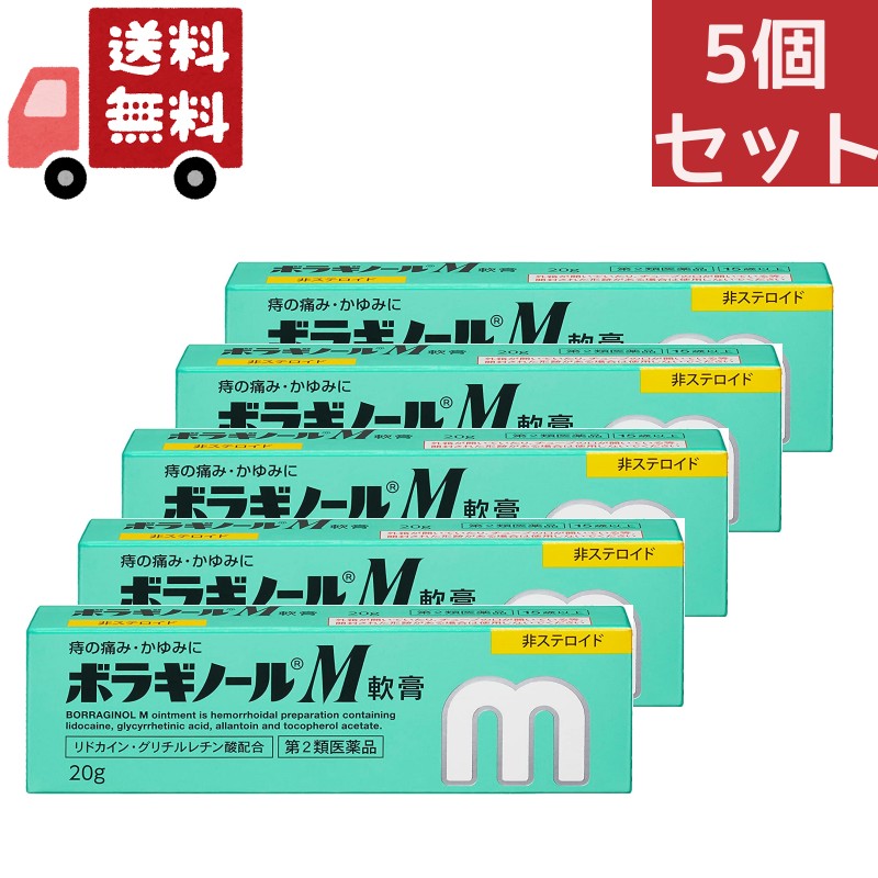 5個セット 【第2類医薬品】天藤製薬 ボラギノールM 軟膏 20g 【代引不可】